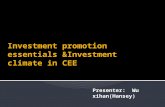 Investment climate in cCEE