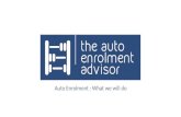 The Auto Enrolment Advisor: Overview of your Auto Enrolement