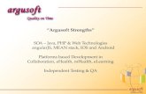 Argusoft Brief Corporate Profile 082015