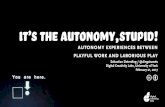 It's the Autonomy, Stupid: Autonomy Experiences Between Playful Work and Workful Play