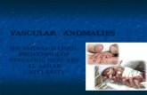 Vascular anomalies ashraf