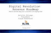 NIM 2/20/17 Event Slide Show: Digital Revolution Revenue Roadmap
