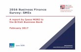 2016 Business Finance Survey: SMEs