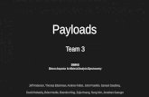 Payloads Presentation for Project A.D.I.O.S.