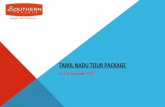 Southern Travels - Divine Tamil Nadu Tour