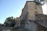 Visita al castell medieval de gelida