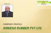 Rubber moulded and bridge bearing pads by ameenji rubber private limited, Secunderabad
