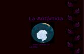 + Antartida Jj
