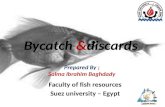 Bycatch & discards