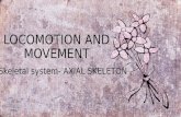 Locomotion and movement