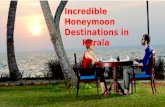 Make Kerala Your Perfect Honeymoon Destination|Tour Packages