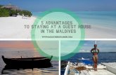 5 Reasons Why Guesthouses Are an Excellent Option - Maldives