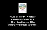 Journey into the Chakras and the Human Biofield