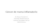 Cancer mamario inflamatorio