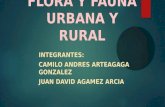 Flora y fauna urbana y rural