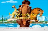 Biologia - A evolução dos mamíferos