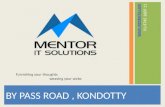 Mentor ITS  profile