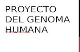 Proyecto del genoma humana