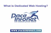 What is Dedicated Web Hosting