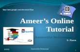 Ameer's Online Tutorial