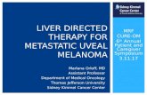 Liver Directed Therapy - Marlana Orloff, MD