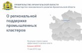 Евгения ШЕЛЮК - О региональной поддержке промышленных кластеров