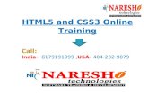 HTML5 and CSS3 Online Training in Hyderabad By Experts NareshIT