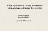TMPA-2017: Unity Application Testing Automation with Appium and Image Recognition