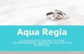 Aqua Regia Presentation