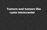 Intracranial tumour&tumour like cystic lesion Dr Ahmed Esawy CT MRI 6