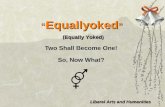 Equallyoked  -  Social Mores - Civil identity - Social psychology - Liberal Arts