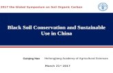 Black Soil Conservation and Sustainable Use in China
