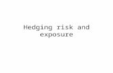 hedging risk and exposure