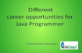 Different career opportunities for Java Programmer