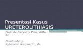 221524892 preskas-ureterolithiasis