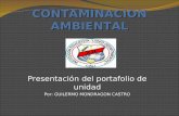 Presentacion portafolio unidad_contaminacion