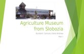 Agriculture museum-from-slobozia-1