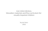 Low vision devices_Education materials & Plus curriculum for VI