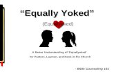 Equally Yoked - Bible Counseling 101 - Liberal Arts