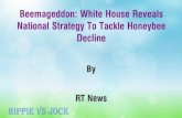 Beemageddon: White House Reveals National Strategy To Tackle Honeybee Decline