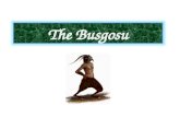 Busgosu   - English version