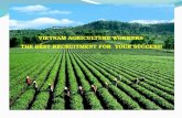 Agriculture workers from Vietnam