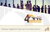 Sage & SalesLogix Special Issues