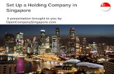 Set Up a Holding Company in Singapore