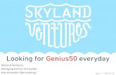 About Skyland Ventures in English