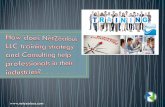 How does NetZealous LLC training strategy and Consulting help professionals in their industries?