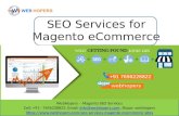 SEO Services For Magento eCommerce | WebHopers