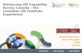 2015_ODN conference CODI