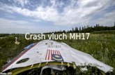 Vliegtuigcrash MH17