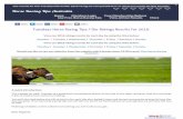 Tuesdays November 22nd 2016 Horse Racing Tips The Days Results